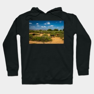 Criollo Cattle on the Open Range Hoodie